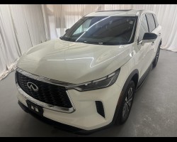 2024 Infiniti Qx60 Pure